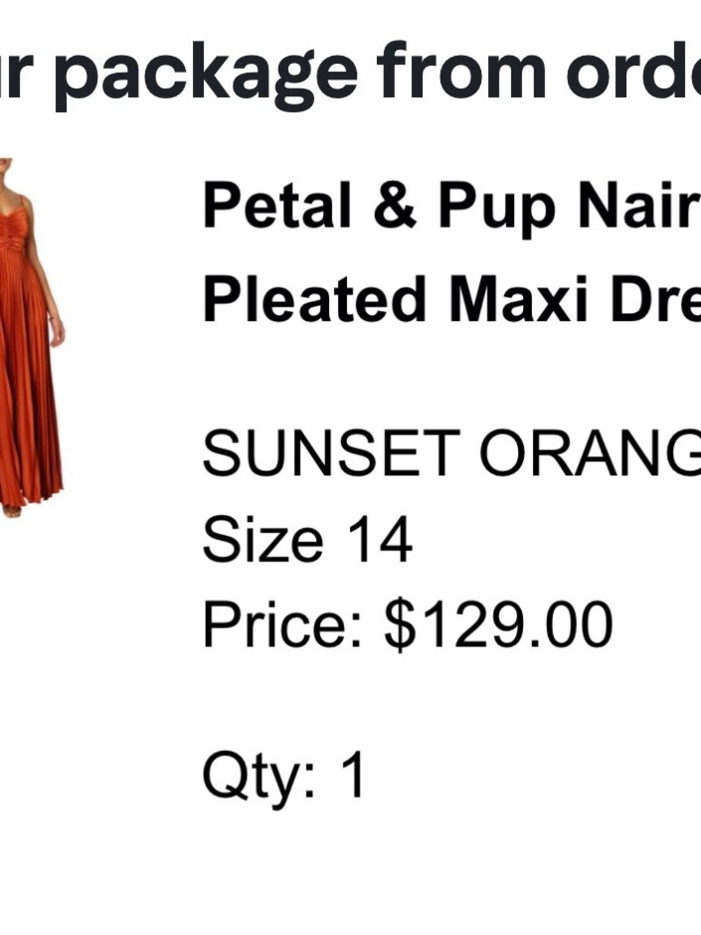 Petal & Pup Copper-Orange Pleated Maxi Dress - Picture 10 of 10